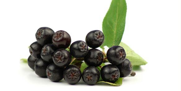Früchte der schwarzen Eberesche nützlich für Diabetes